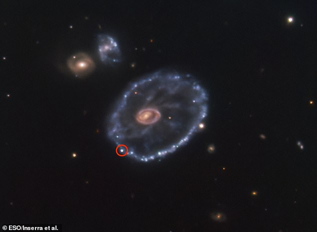 Supernova, yang disebut SN2021afdx, terjadi di galaksi Cartwheel berbentuk tidak biasa, yang terletak di konstelasi Sculptor.