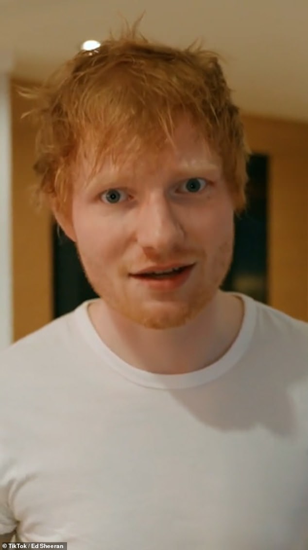 Dukungan: Ed Sheeran mengirim pesan dukungan kepada band Ukraina yang menawarkan untuk memainkan konser amal melalui tautan video dari Kyiv