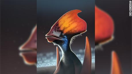 Penelitian mengatakan bahwa pterosaurus ditutupi dengan bulu berwarna-warni