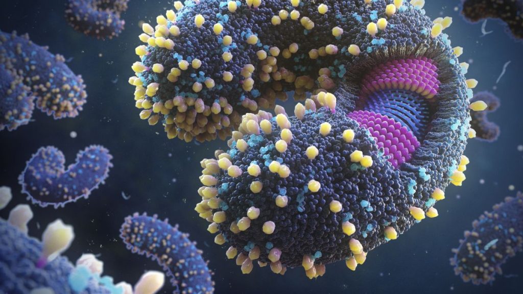 Ribuan virus baru ditemukan di lautan dunia