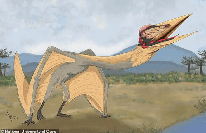 Ahli paleontologi di Argentina telah menemukan fosil jenis baru pterosaurus yang disebut 'Pterosaurus'.  naga kematian "