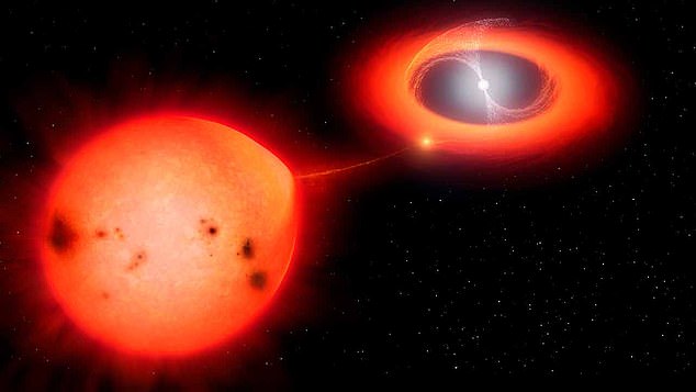 Para astronom telah mencatat ledakan tercepat dari bintang nova yang pernah dilihat.  Ilustrasi ini menunjukkan jenis sistem bintang dua yang diyakini oleh tim peneliti milik Hercules V1674