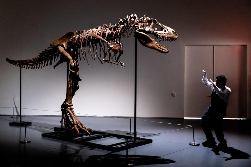 Kerangka gorgosaurus berusia 76 juta tahun akan dilelang