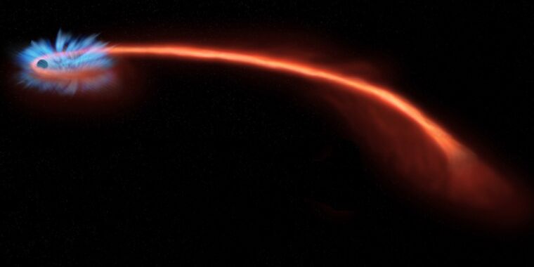 Cahaya terpolarisasi mengungkapkan nasib akhir bintang "Spaghetti" oleh lubang hitam