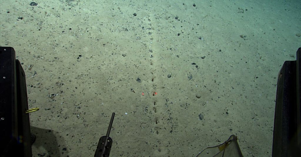 Ada lubang di dasar laut.  Para ilmuwan tidak tahu mengapa.