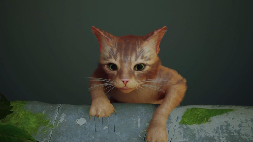 Cat Stray memiliki masalah kinerja Unreal Engine 4 di PC
