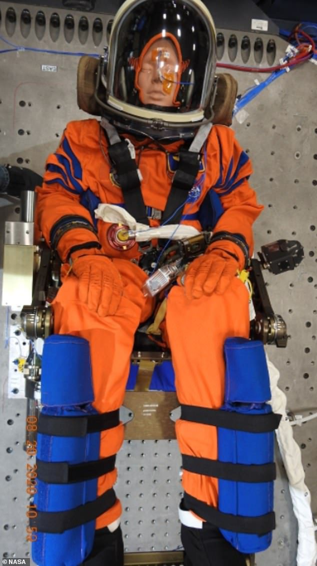 Insinyur NASA menggunakan model yang sesuai - yang dikenal sebagai 'Komandan Kampus Monnequin' - untuk melakukan uji getaran di Kennedy Space Center.  Ini akan terbang di atas pesawat ruang angkasa Orion