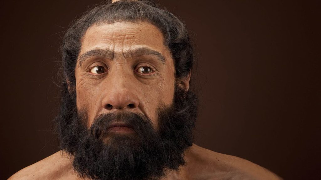 Studi tentang tengkorak kuno menjelaskan tentang perkawinan silang antara manusia dengan Neanderthal