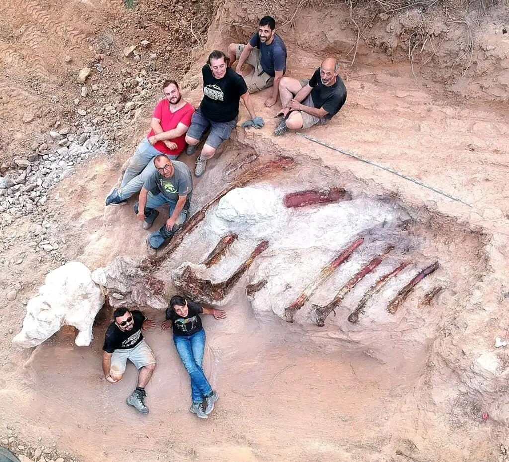 Pada bulan Agustus, ahli paleontologi mengumpulkan tulang rusuk 10 kaki.  