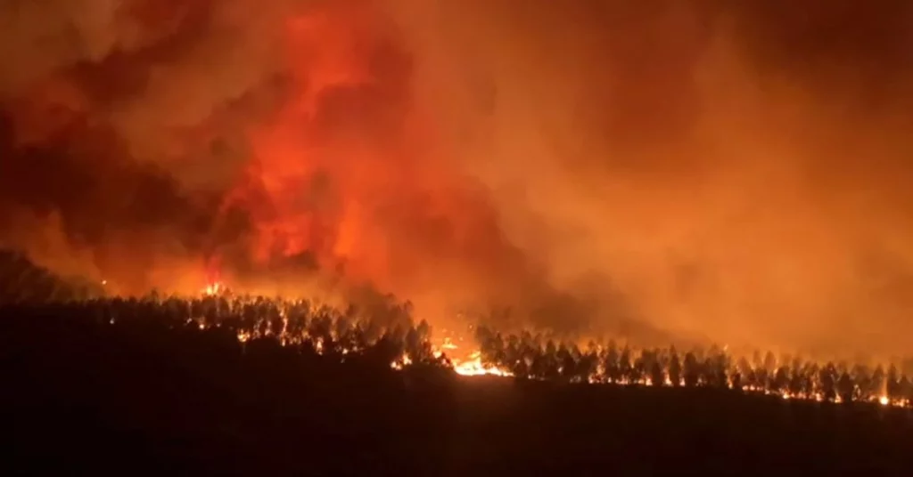 Kebakaran hutan meletus di Prancis dan ribuan orang dievakuasi dari rumah mereka