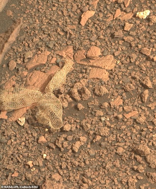 Baru-baru ini pada bulan Juni, ketekunan menemukan sepotong jaring Dacron yang compang-camping yang membantunya mendarat dengan aman di Mars.