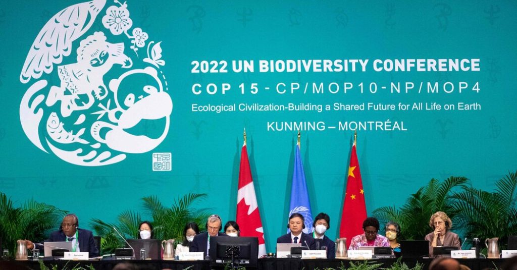 COP15 Biodiversity Talks: Daftarkan Negara-Negara dalam Rencana Konservasi '30x30'